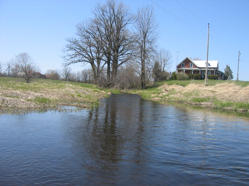 rigaud-ss1.jpg - 32447 Bytes